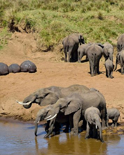 Tarangire National Park