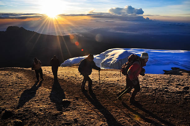 kilimanjaro training guide for beginners