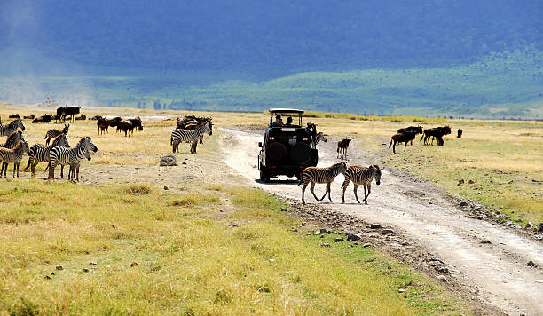 Lake Manyara Safari Animals