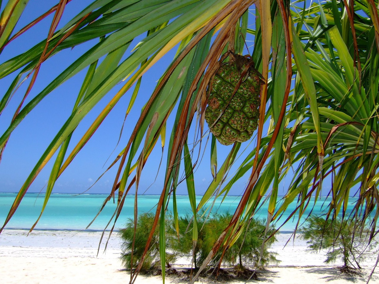 5 Days Zanzibar Beach & Adventure Tour